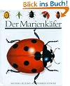 Der Marienk�fer