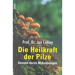 Die Heilkraft der Pilze