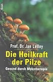 Die Heilkraft der Pilze