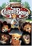 The Country Bears