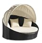 Zuo Queensland Canopy Bed