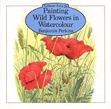 Painting Wildflowers in Watercolour (Leisure Arts Series, No 28)