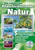 Eigenschaften Sybex-Verlags- und Vertriebs-GmbH  / Die schönsten Bildschirmschoner Vol.3 - Natur