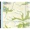 Start an Ambient Music collection
