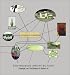 Books : Envisioning Architecture: Drawings from The Museum of Modern Art