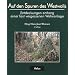 Auf den Spuren des Westwalls - Entdeckungen entlang einer fast vergessenen Wehranlage