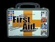 Deluxe Veterinarian Recommended First Aid Kit for Pets
