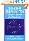 The Roots of Backpropagation: From Ordered Derivatives to Neural Networks and Political Forecasting (Adaptive and Learning Systems for Signal Processing, Communications and Control Series)