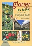 Glaner dans les Alpes
