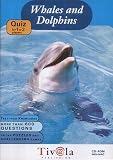 Whales  Dolphins Quiz
