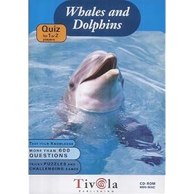 Whales & Dolphins Quiz