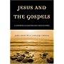 Jesus and the Gospels: An Introduction to Gospel Literature and Jesus Studies