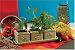 ON SALE! Mexican Herb Trio - Seeds, Soil and Three Adobe Pots Image