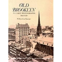 Old Brooklyn in Early Photographs, 1865-1929