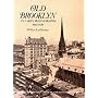 Old Brooklyn in Early Photographs, 1865-1929