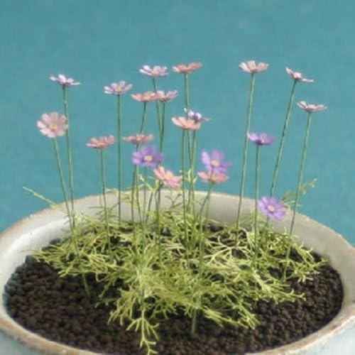 Table garden series 1/12 Cosmos (japan import)