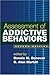 Assessment of Addictive Behaviors, Second Edition