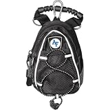 Air Force Falcons NCAA Mini Day Pack