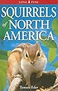 Squirrels of North America