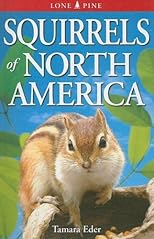 Squirrels of North America