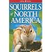 Squirrels of North America
