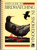 RSPB guide to birdwatching in Snowdonia