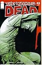 The Walking Dead #45