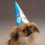 Party Animal Hat for Dog Birthday Celebrations