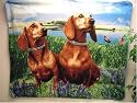 DACHSHUND Dogs, Weiner Dog Pet Fleece Blanket BK0095