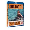 Dogtooth [Blu-ray]