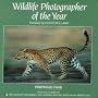 Wildlife Photographer of the Year: Portfolio 4 (Portfolio Four)