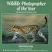 Wildlife Photographer of the Year: Portfolio Four