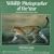 Wildlife Photographer of the Year: Portfolio Four