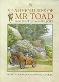 The adventures of Mr Toad : from Wind in the willows