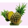 pineapple flavor extract - 2 fl oz