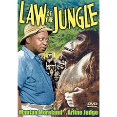 Law of the Jungle by 