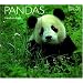 Pandas (World Life Library)
