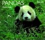 Pandas (Worldlife Library)