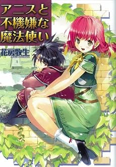 アニスと不機嫌な魔法使い (HJ文庫)
