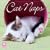 Cat Naps 2009 Wall Calendar (Calendar)