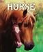 Horse (Hardcover) by Malachy Doyle