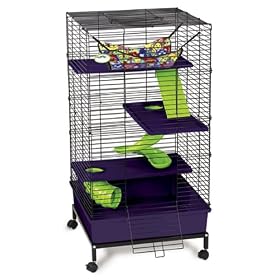 Super Pet My First Home 2-Feet by 2-Feet Deluxe for Ferret, Multi-Floor with Stand