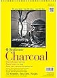 Strathmore Charcoal Paper Pad, 32 Sheets, 9 x 12-inch, White (330-9)