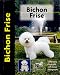 Bichon Frise (Pet love)