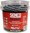 Senco 06B125P #6 1-1/4-Inch Drywall Screw-Light Steel