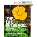 The Life of the Soul: The Wisdom of Julian of Norwich
