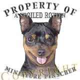 Miniature Pinscher Property Of Adult T Shirt