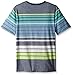 Quiksilver Boys' Long Way Tee