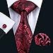 Hi-Tie Mens Red Silk Tie set
