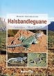 Halsbandleguane: Lebensweise - Pflege - Zucht
